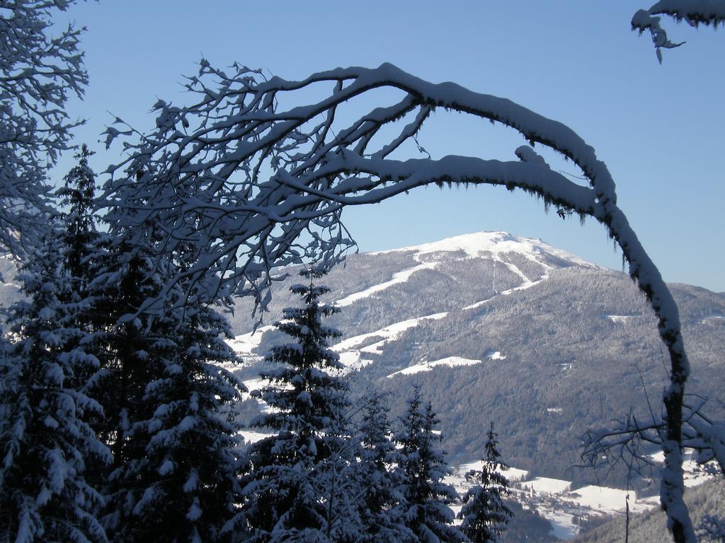 Bed and Breakfast Oberlechnerhof Rasun di Sopra Zewnętrze zdjęcie