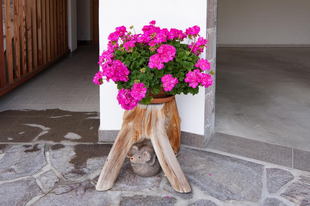 Bed and Breakfast Oberlechnerhof Rasun di Sopra Zewnętrze zdjęcie